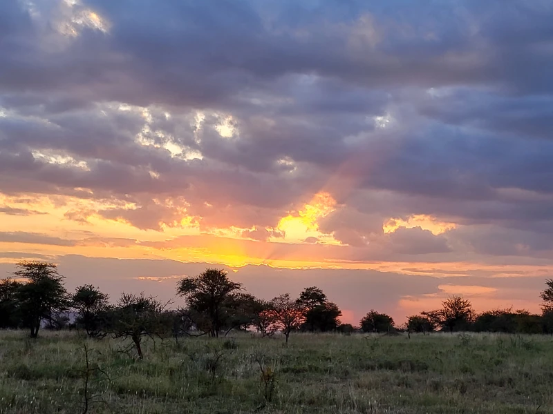 Tansania Safari & Sansibar Baden – eine Traumreise