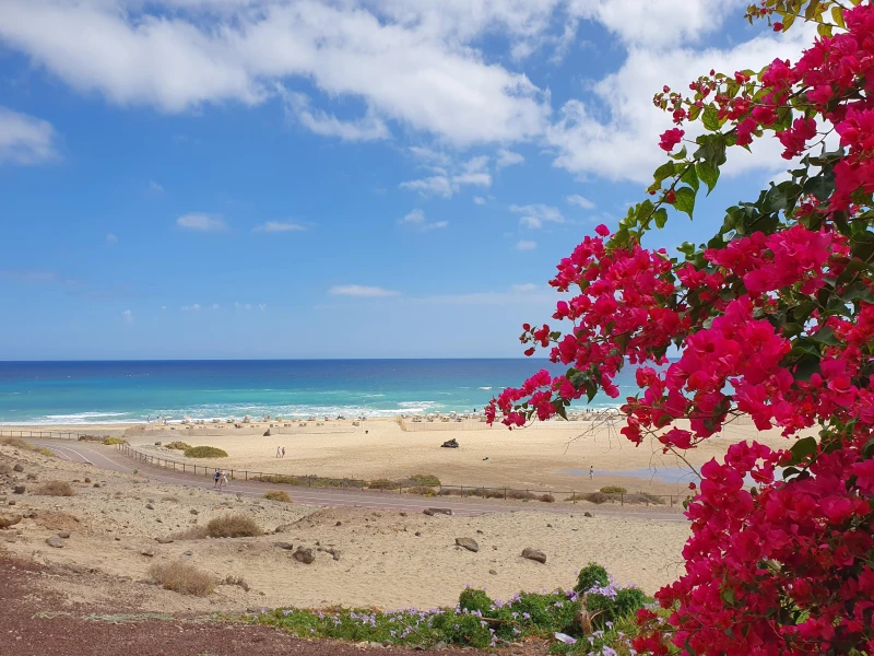 Fuerteventura