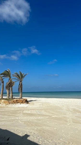 TUI Inforeise Djerba 2024