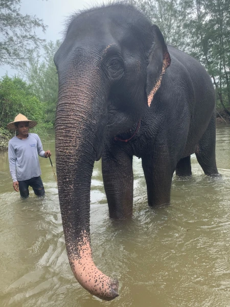 Thailand - der Süden