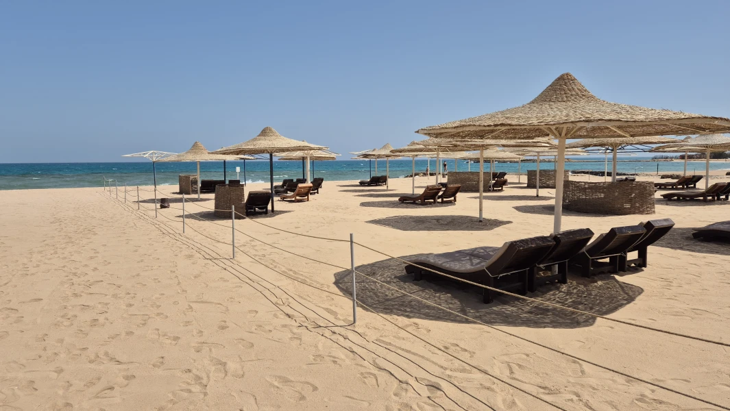 Calimera Blend Paradise