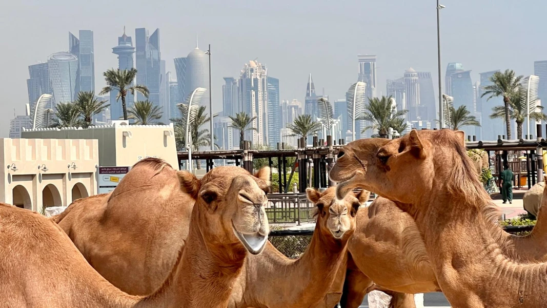 Doha / Qatar