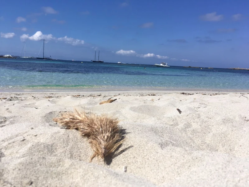 Ibiza