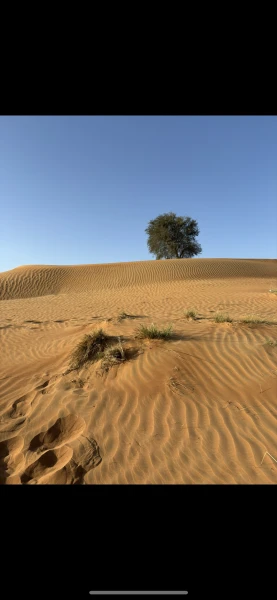 Ras Al Khaimah VAE -  wunderschöne weiße Sandstrände und eine einzigartige Wüstenlandschaft