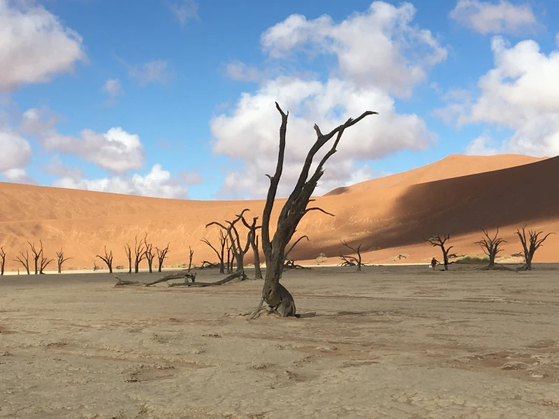 "Namibia -Soft Adventure Tour"
