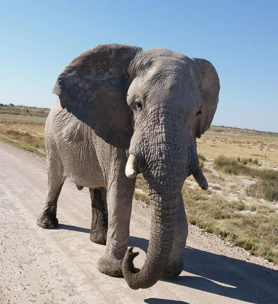 Namibia