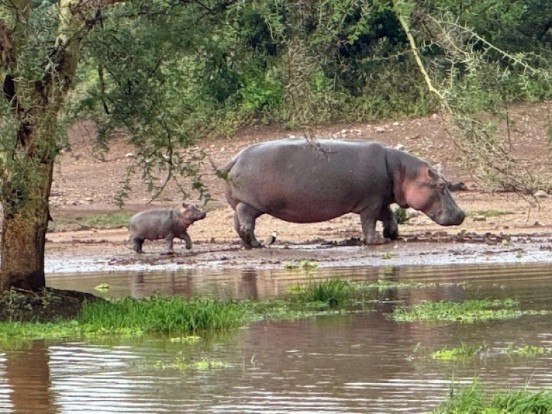 Kenia - Mehr als nur Safari
