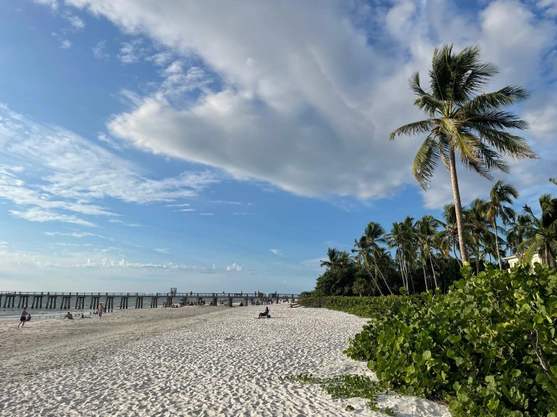 Florida & New York