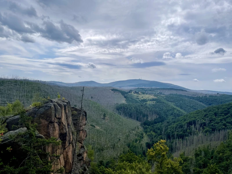 Harz