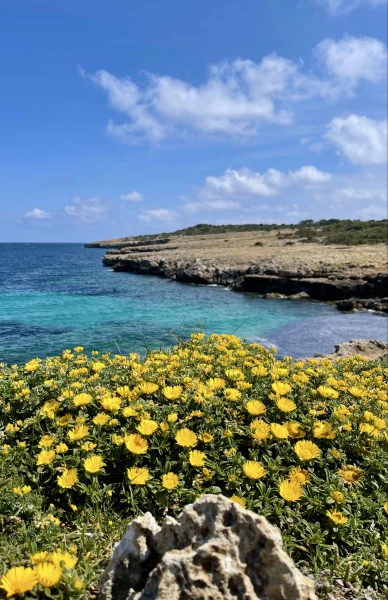 Mallorca