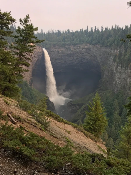 Canada – I Always Beleaf in You!