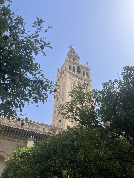 Mein Monat in Spanien – Ein unvergessliches Erlebnis 2025