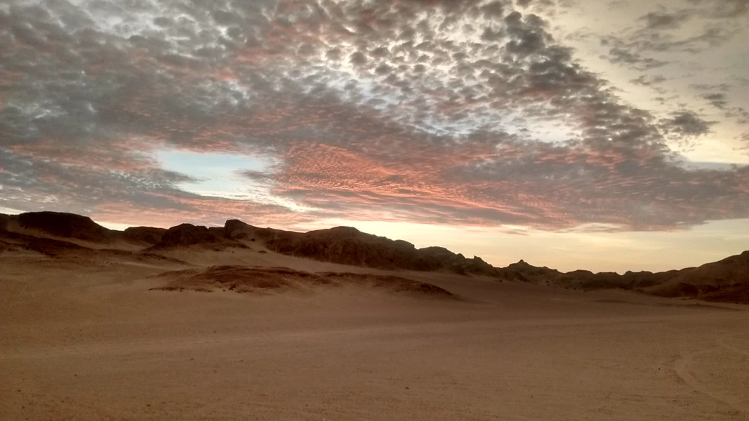 Namibias Natur auf der Spur