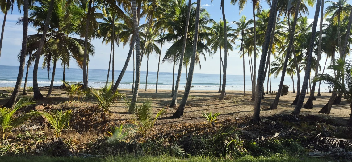 Dominikanische Republik