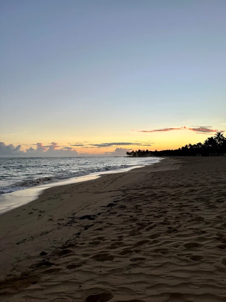 Dein Dom‑Rep‑Abenteuer – Wasserfälle, Wellen & Wildnis