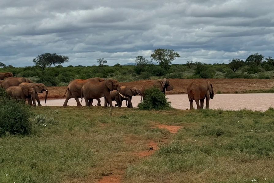 Mein Kenia-Abenteuer