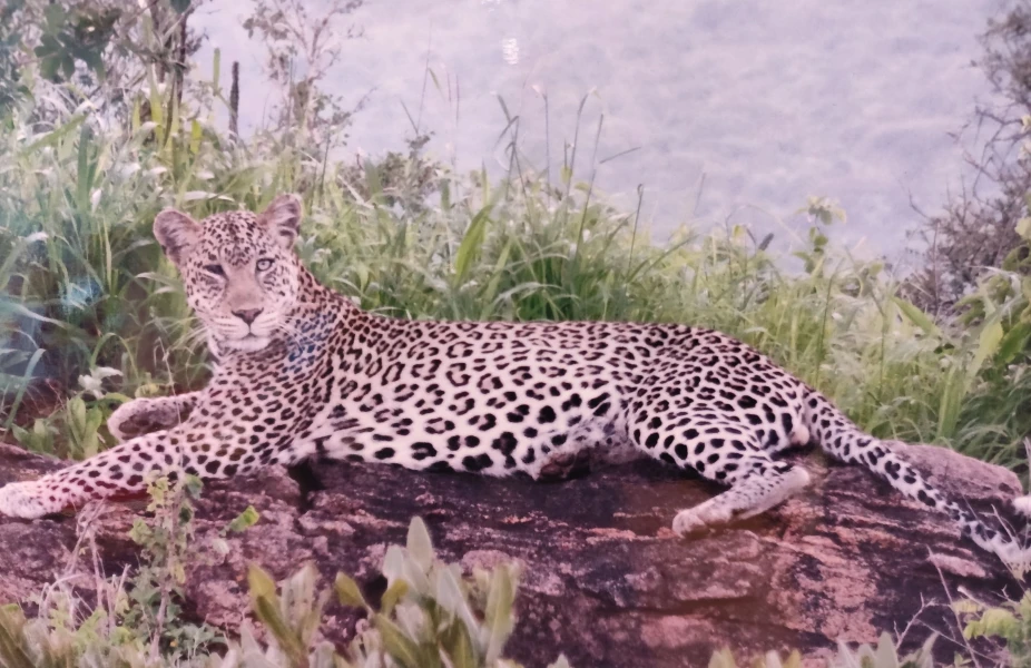 Abenteuer Kenia