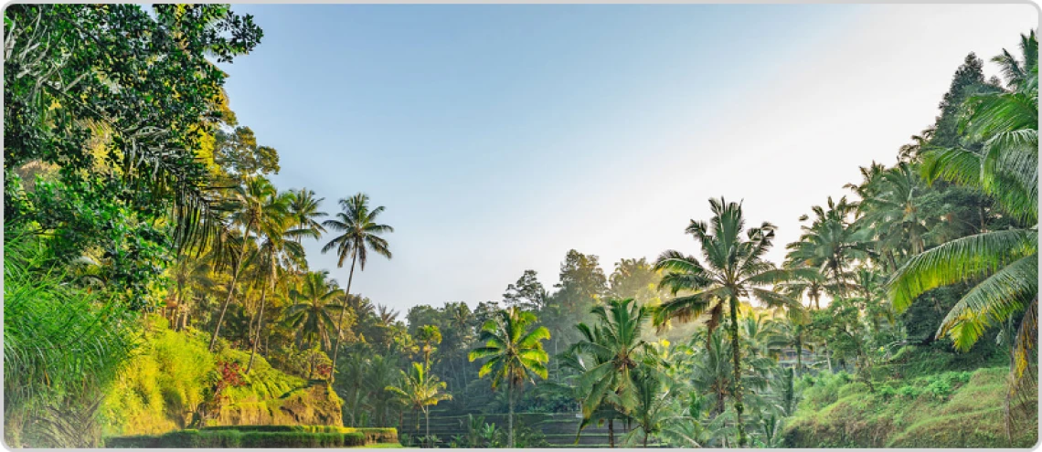 Bali