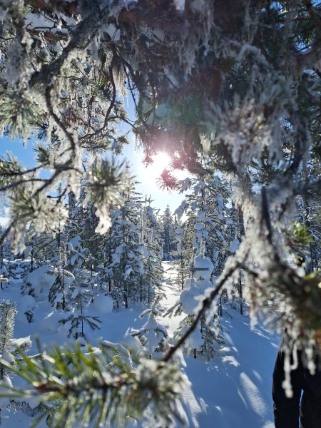Winterabenteuer in Kuusamo