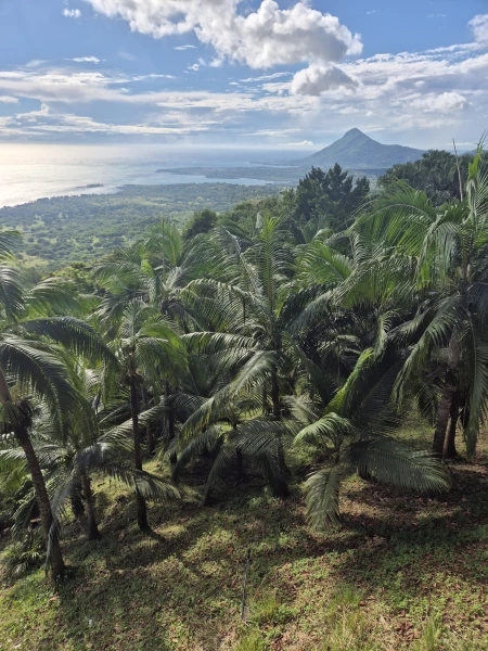 Mauritius