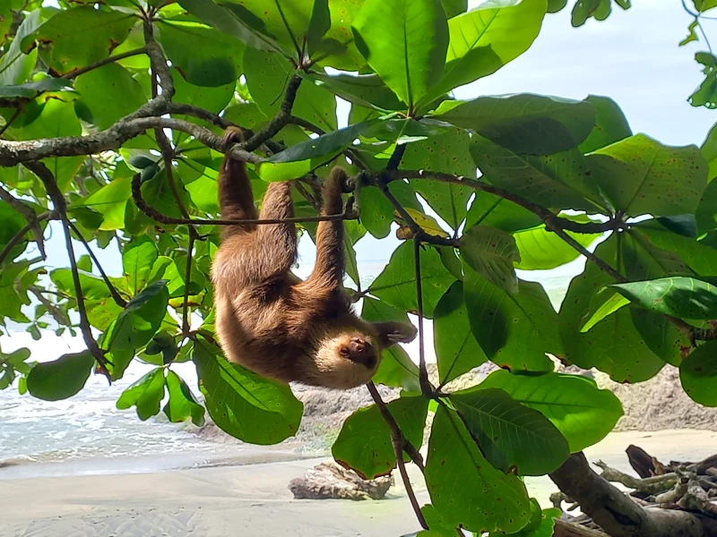Panama & Costa Rica