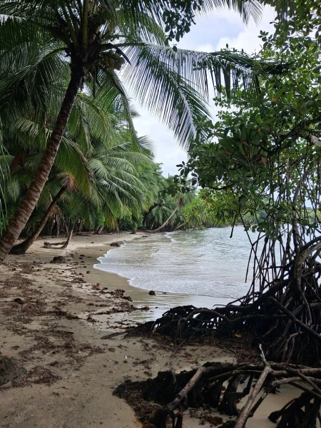 Panama & Costa Rica