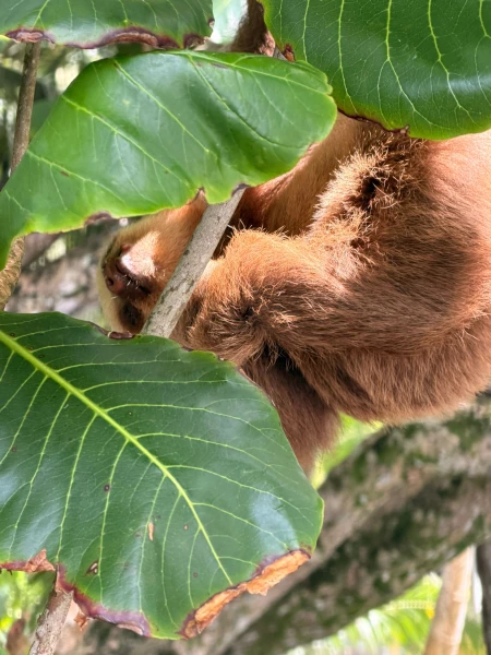 Ich war für Sie in Panama & Costa Rica!