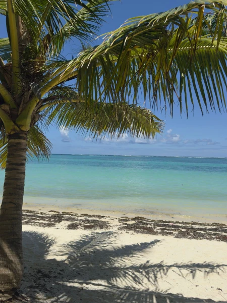 Mauritius – Ein Inseltraum, der sofort begeistert