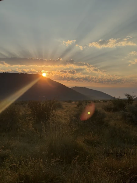 Johannesburg & Krüger Nationalpark