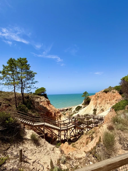 Portugal mit dem Mietwagen entdecken: Von der Algarve bis nach Porto