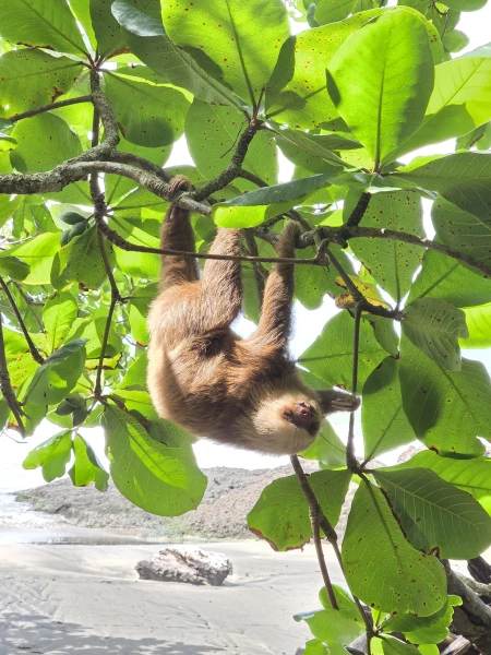 Panama & Costa Rica