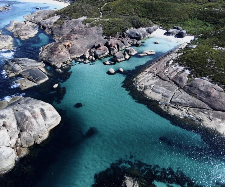 Australien – Die Flora und Fauna des roten Kontinents