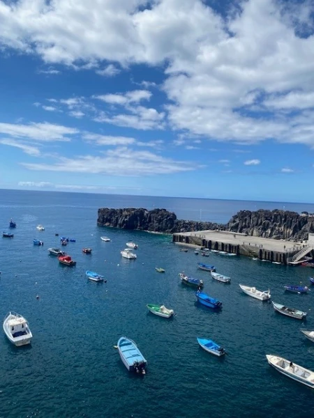 Madeira – Insel der Kontraste
