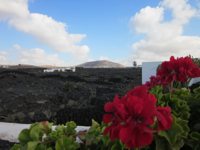 Lanzarote und Fuerteventura