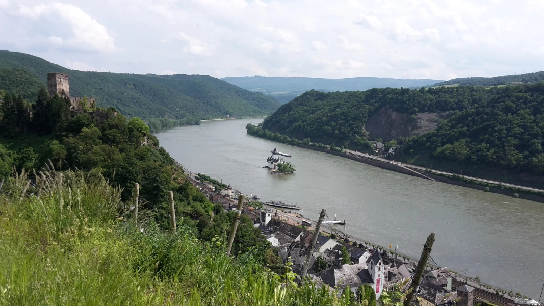 Schnupperwandern auf dem Rheinsteig
