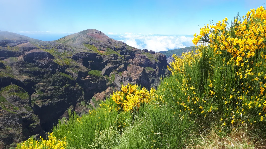 Erholen und Wandern auf Madeira