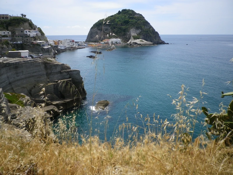Dolce Vita auf der italienischen Insel Ischia , oder wie kommt ein Steinpilz nach Ischia ?