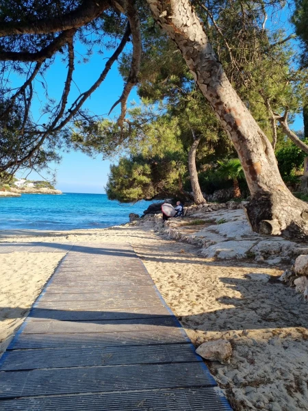 Mallorca - eine Insel mit vielen Gesichtern