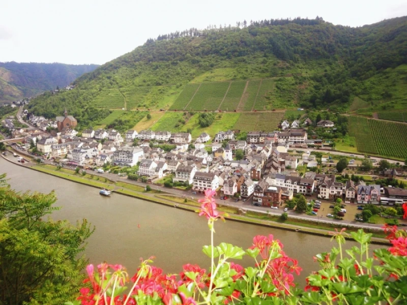 Rhein-Flusskreuzfahrt mit der Amadeus PrincessNo-Title