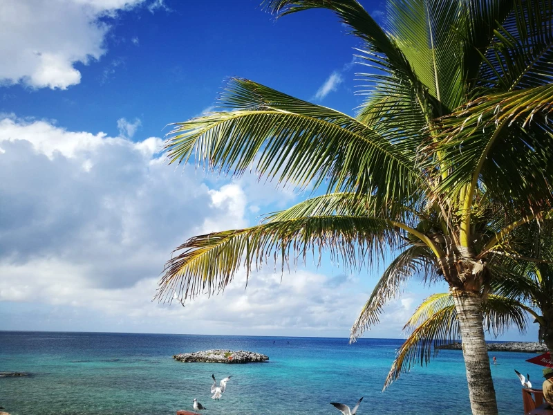 Miami, Orlando & Kuba – Natur, Kultur und Spaß