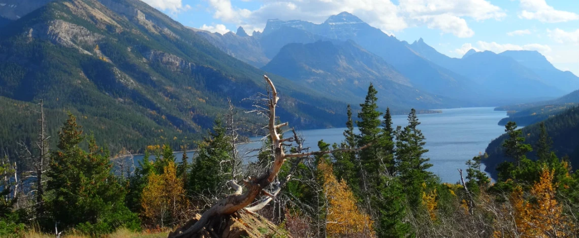 Faszinierende Rundreise durch Alberta