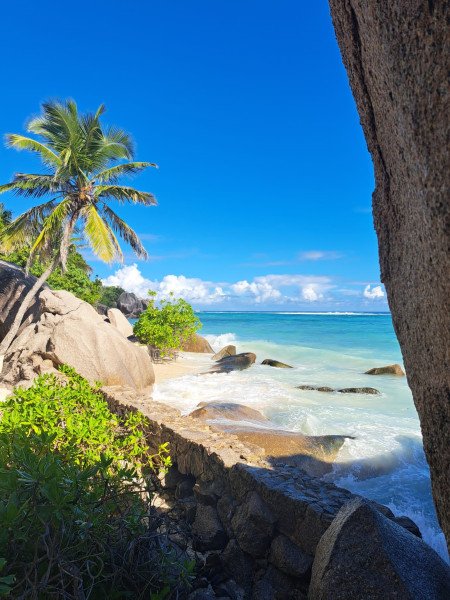 Ricarda Eichinger background