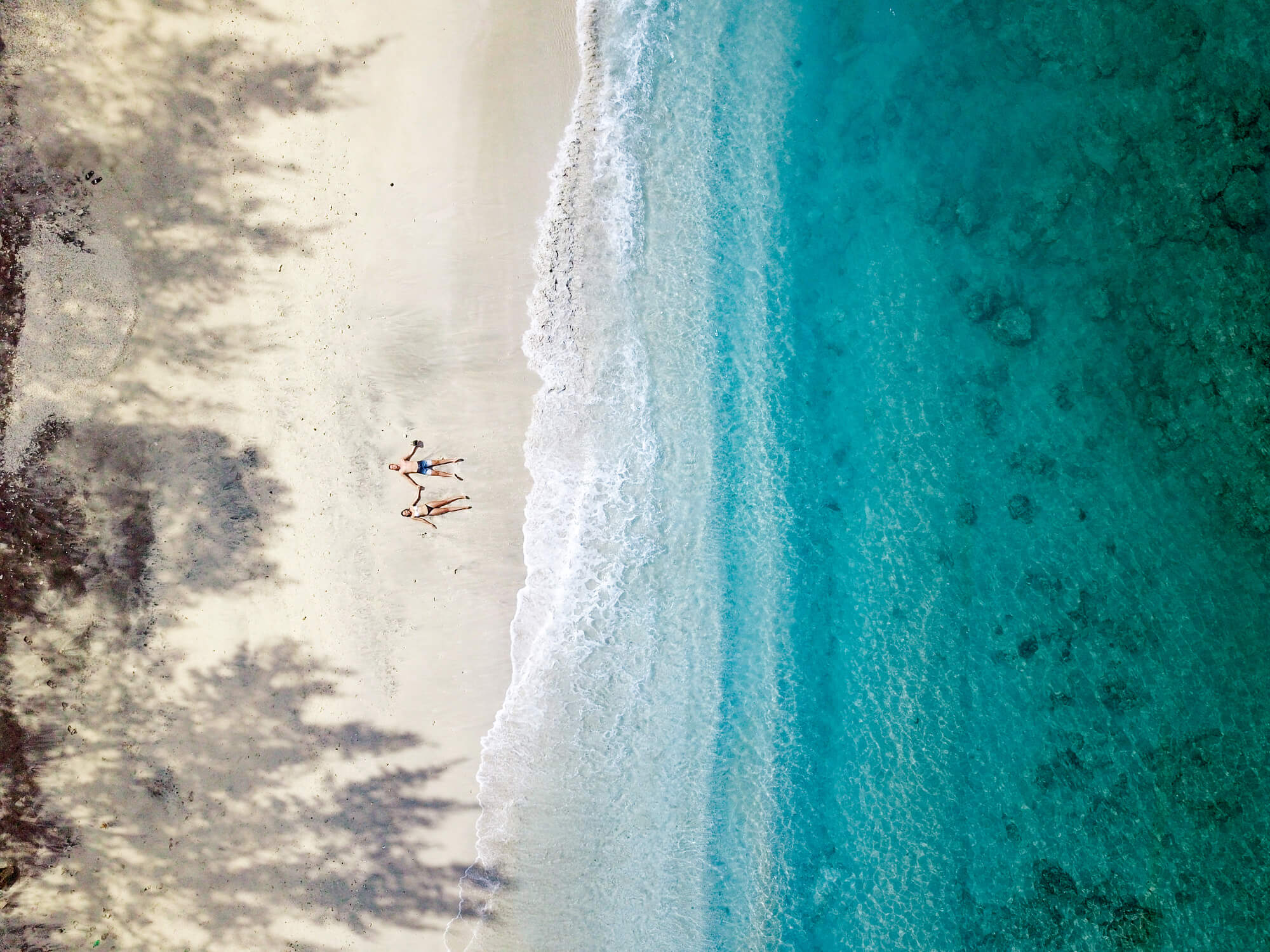 Mierau background