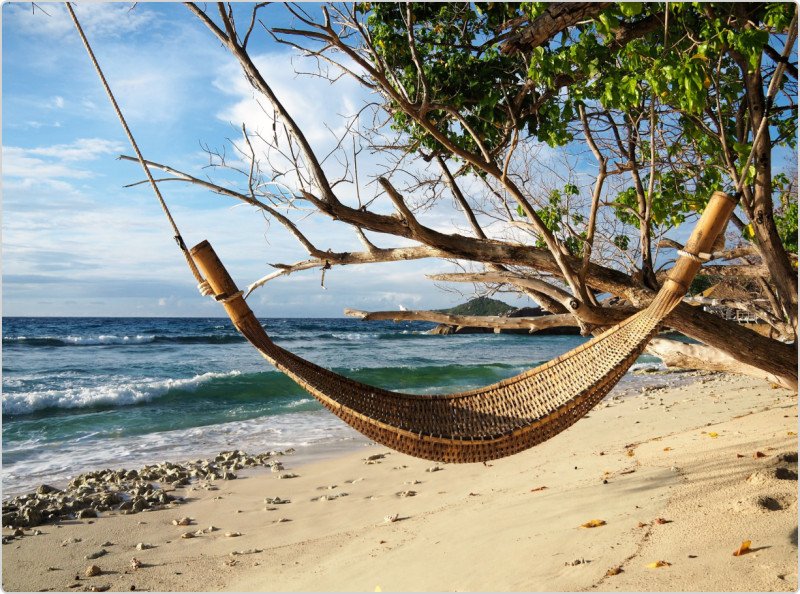 Sibylle Pötzl background