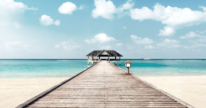 Sarah Köberl background