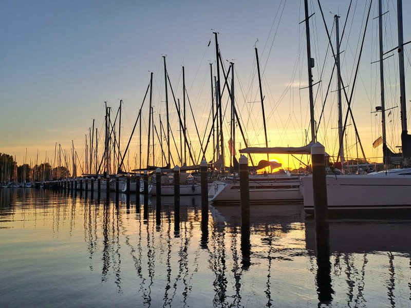 Peter Mühlleitner background