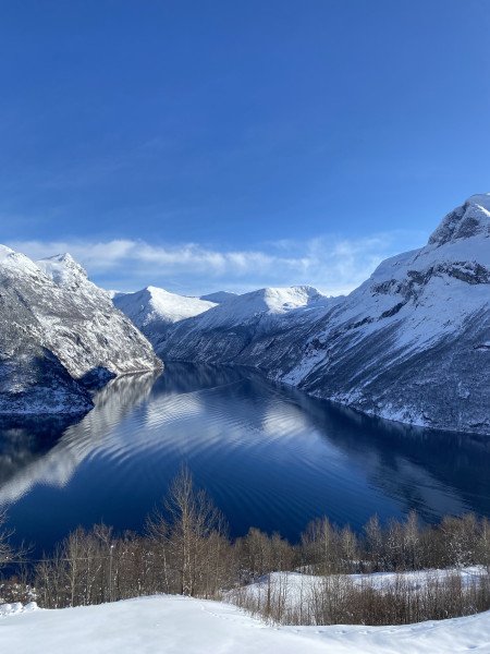 Stephanie Weck background