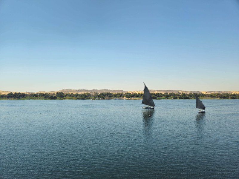 Pia Röder background