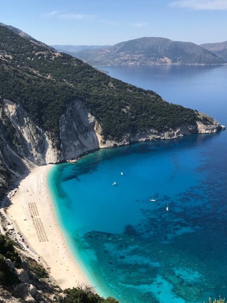 Nicole Dildey background