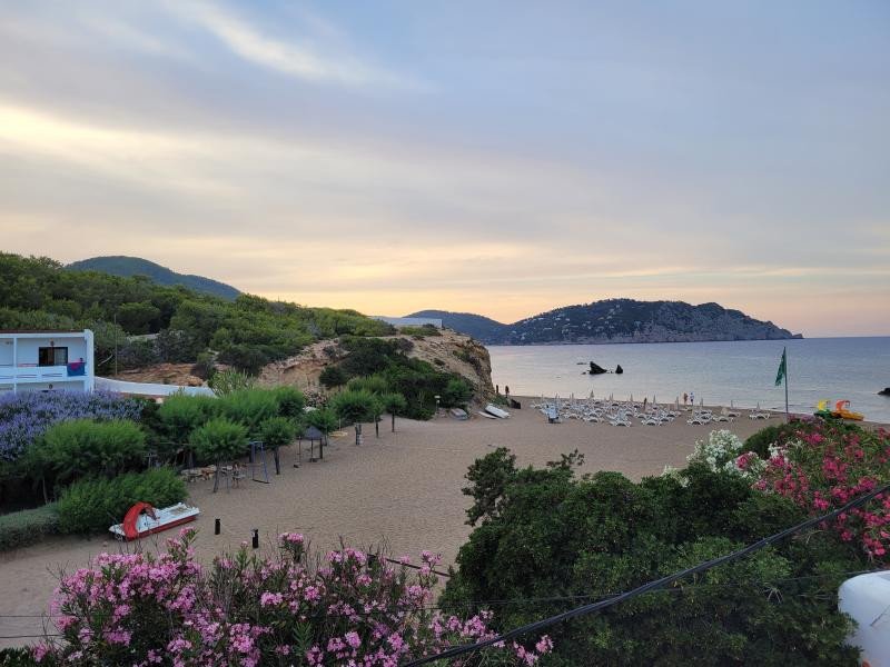 Anja Schaarschmidt background